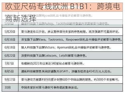 欧亚尺码专线欧洲 B1B1：跨境电商新选择